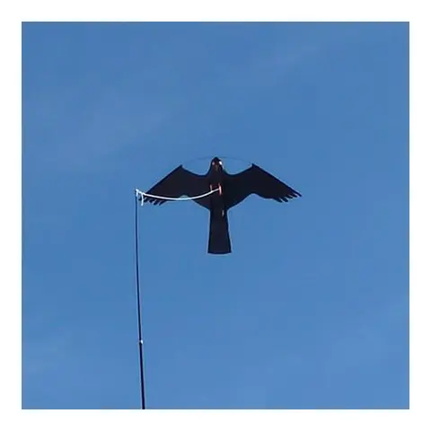 Måkejager- drage/hauk (komplett sett) Effektiv fugleskremsel 
