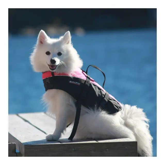 BALTIC Hundevest, Mascot rosa/sort S 3-8 kg 