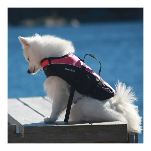 BALTIC Hundevest, Mascot rosa/sort S 3-8 kg 