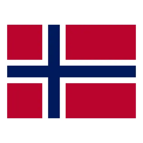Gjesteflagg - Norge Vevet polyester - 30x19 cm